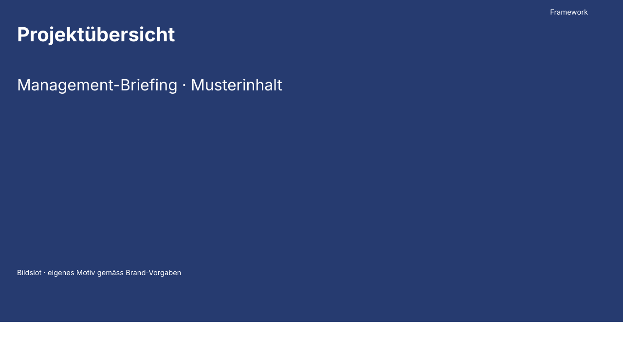 Gerenderte Musterfolie: Cover mit Foto